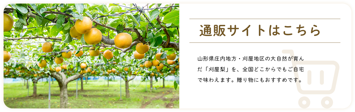 通販サイトのご案内