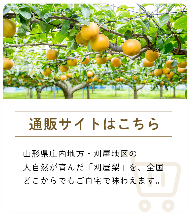 通販サイトのご案内