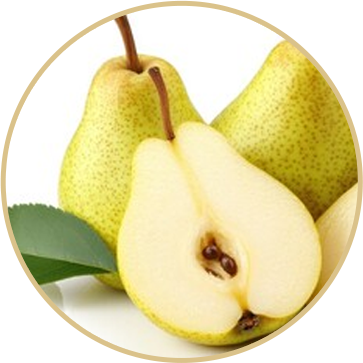 梨農園イメージ